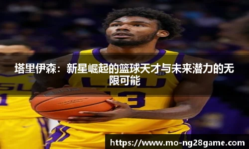 NG南宫28